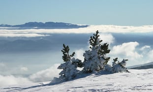 3092563833_aec1fa5916_b