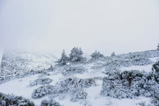 alex-varela-h840mWQByxM-unsplash